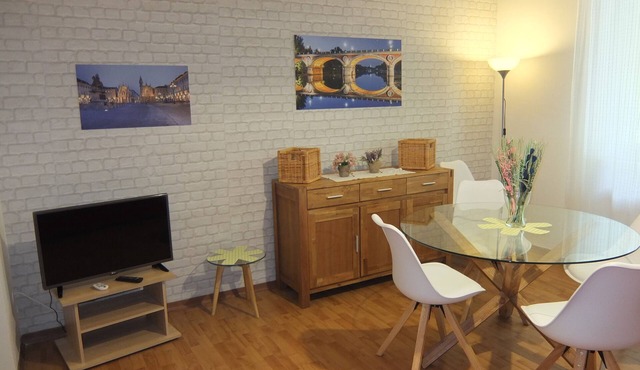 Wonderful apartment along the Po River