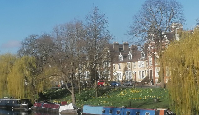 Wonderful apartment in a prime Cambridge location