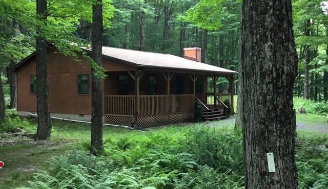 Wonderful Cabin in Greentown, Pa