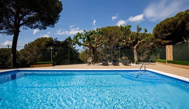 Wonderful house with large pool and forest