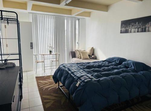 Wonderful LA studio apartment