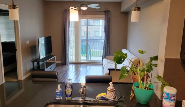 Wonderful One bedroom Condo