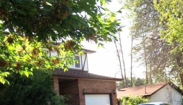 Wonderful one bedroom Loft at the Britannia Beach