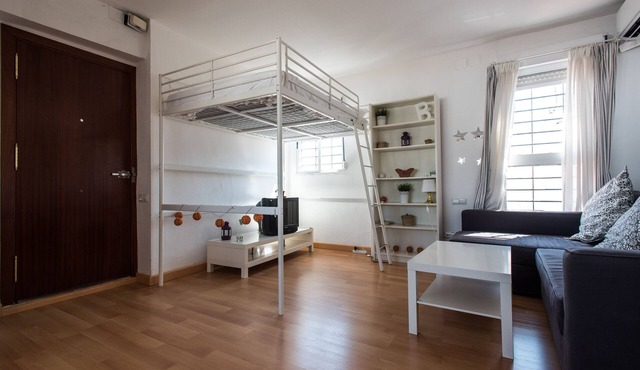 Wonderful Penthouse With Views of the Giralda