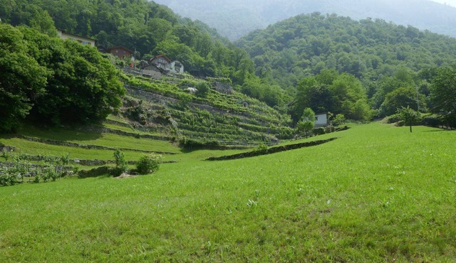 Wonderful private villa for 4 people with WIFI, TV, patio and pets allowed