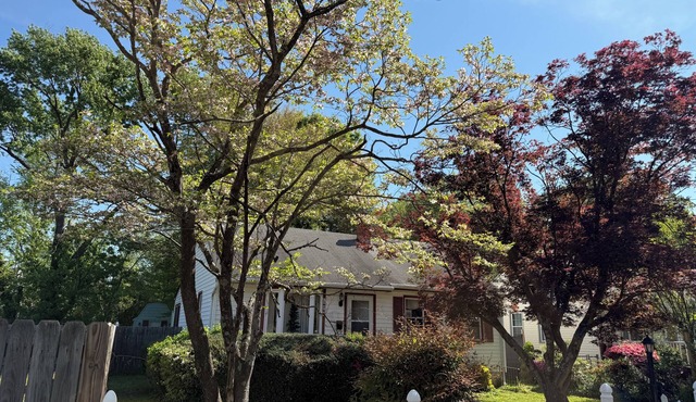 Wonderful Queen Bedroom with Attached Sun room in charming Henrico
