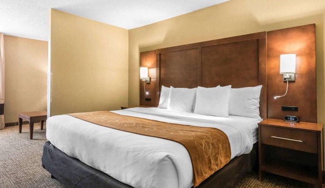 Wonderful Stay! 1 Gorgeous Unit, Pool, Breakfast, Parking, Close to Attractions.