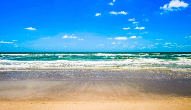 Wonderful studio near the beautiful beach