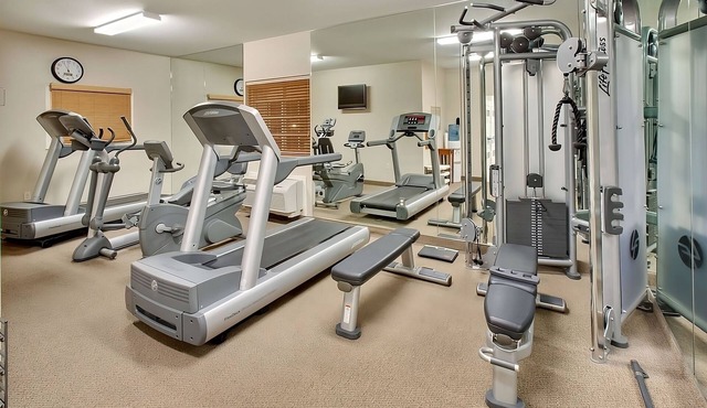 Wonderful Stay! Free Parking, Pets Allowed, Short Drive to Betsy Ross House