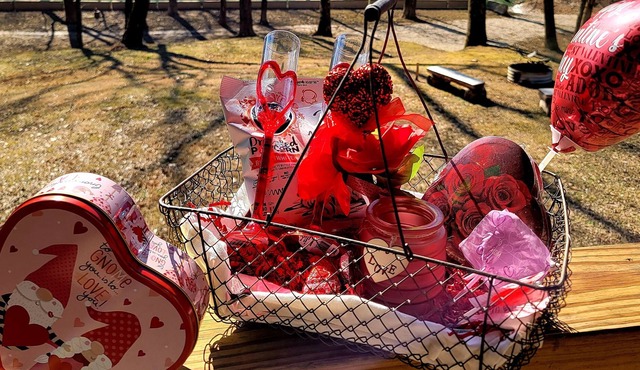 Wondering Woods Riverfront Cabin-Private Boat Ramp and Dock