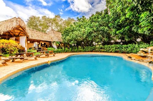 Wonderkoi - Oasis with Pool and Koi Ponds in Miami