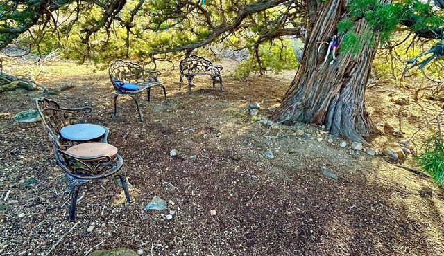 Wonderland Retreat House at the Base of Mount Shasta