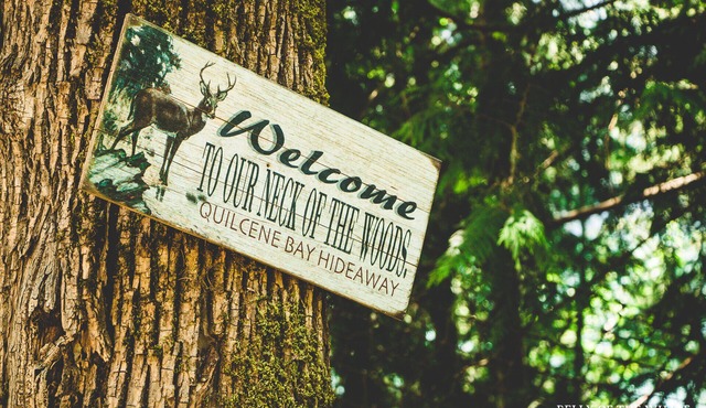 Wondrous, Secluded, Waterfront Home, pet friendly, hot tub, kayaks, trails