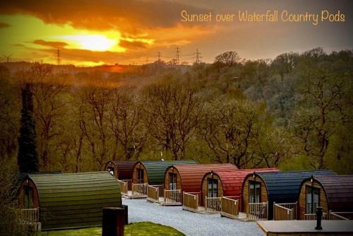 Wonky Pod 8 Pet Free