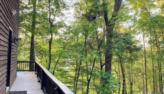 Wooded Cabin on Rocky River