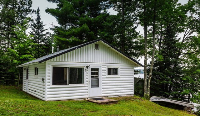 Wooded Lakeside Cottage ,Fishing, Snowmobiling, Hunting, Boats, Hot Tub