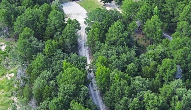Wooded Paradise: King Bed, Trail, Outdoor Games