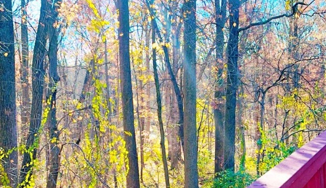 Wooded Retreat: Quiet. Sleeps 6. Private Deck. Parking, Pets Yes. 13 mi to D.C.