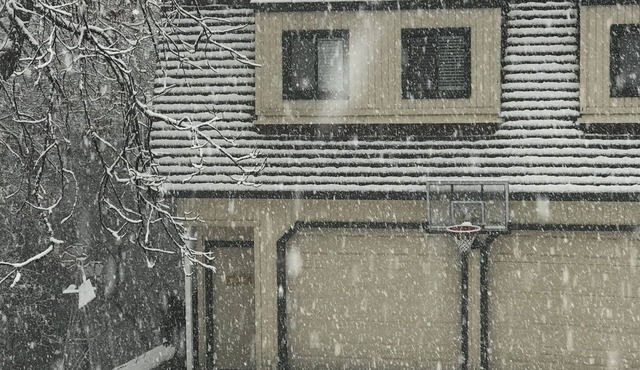 Wooded Retreat, Welcome to the Woods! Fun, Games! Destress,Quiet Private Setting