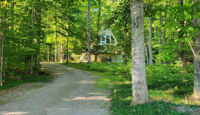 Wooded setting with view of Walloon Lake