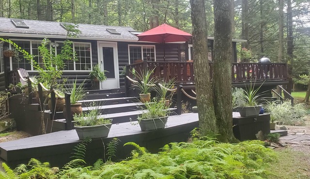 Wooded Streamside Catskills Cabin
