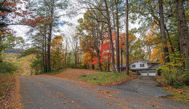 Wooded Writer's Retreat with pool