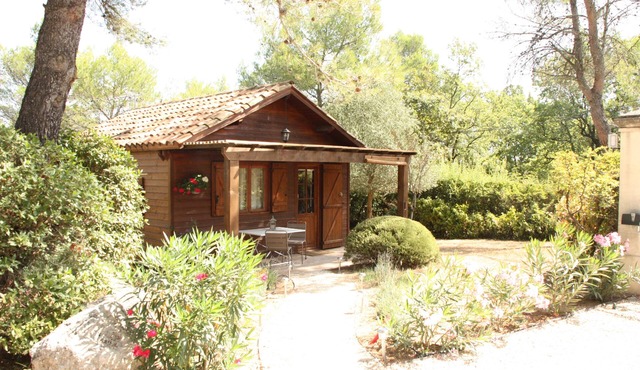 Wooden chalet in the middle of the pines