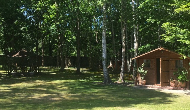 Wooden chalet in the middle of a wooded park