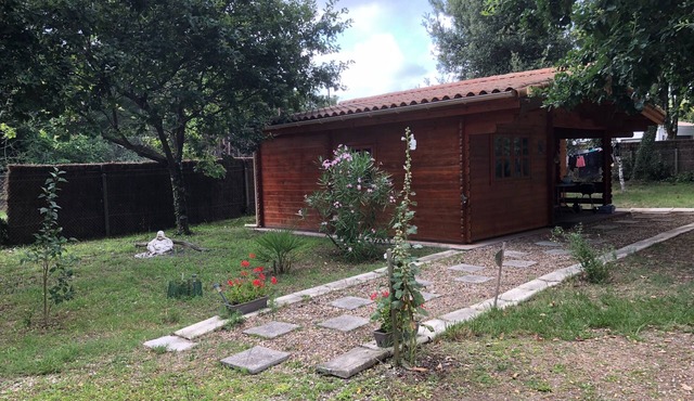 Wooden chalet in a wooded setting