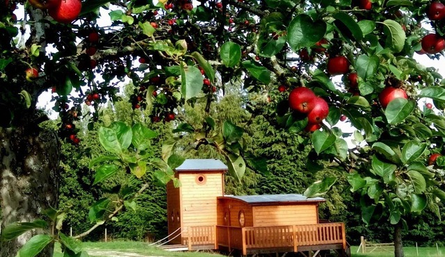 Wooden chalet in nature, pets allowed, WiFi