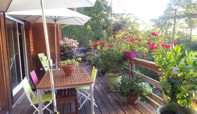 WOODEN CHALET IN THE MIDDLE OF THE FOREST