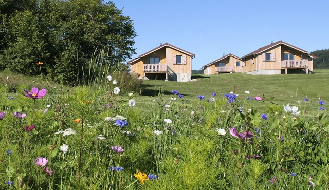 Wooden chalet rental 1 to 6 people