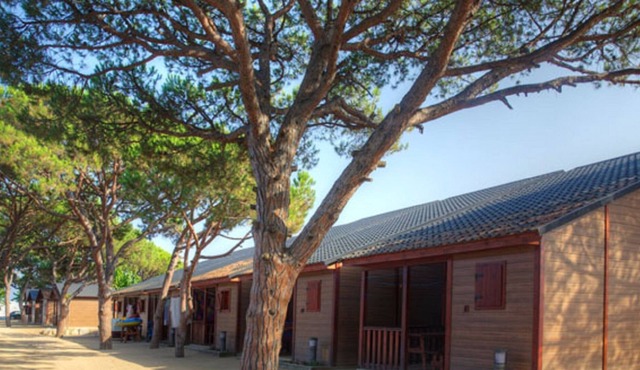 Wooden chalet with a nice covered terrace, near the beach