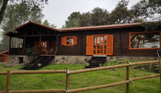 Wooden house in the woods, on a farm with horses. Very close to Madrid. Beef