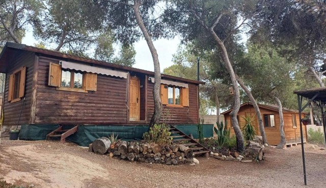 Wooden house