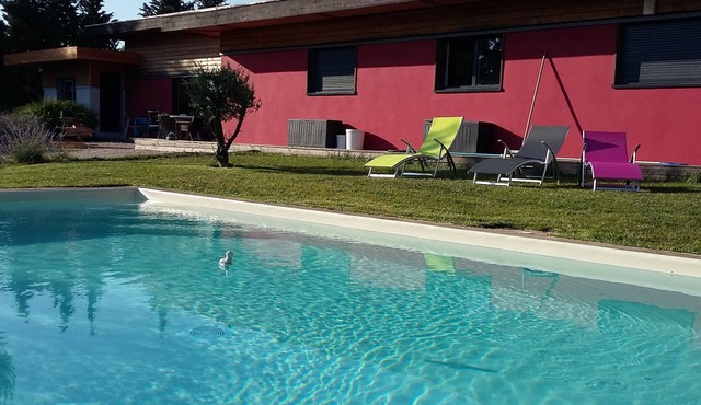 Wooden house in a green setting