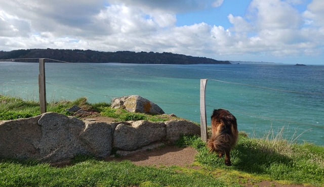 Wooden house near the sea