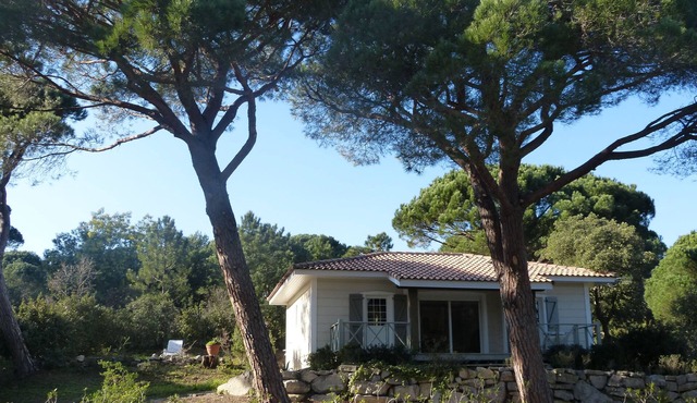 Wooden house with garden 7 km from St Tropez 6 people/3 bedrooms near beaches