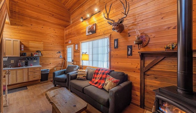 Wooden Nickel Cabins #1 in Christopher Creek - Game Room - Borders Nat'l Forest