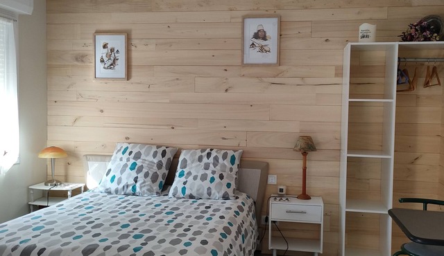 Wooden studio room, quiet, near downtown