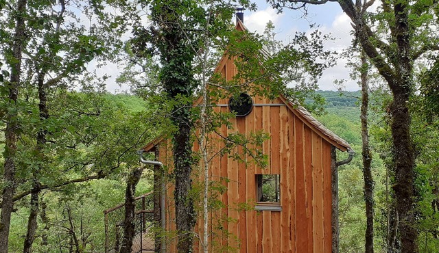 Wooden tree house