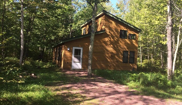 Woodhaven - Charming Home nestled in the Woods, near Big Bay Town Park!