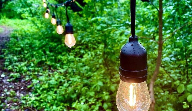 Woodland Bell Tent, Glamping near Fredericton, NB!