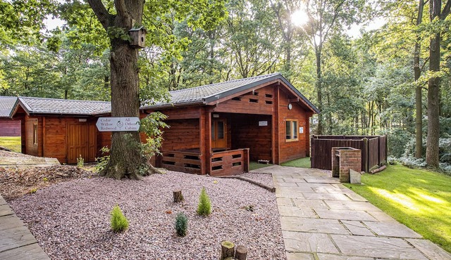Woodland Birch Lodge