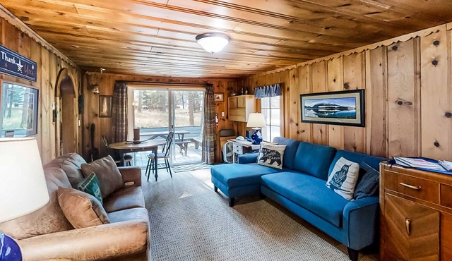 Woodland Cabin w/Fenced Backyard, Deck, Front Porch & WiFi - Dogs Welcome