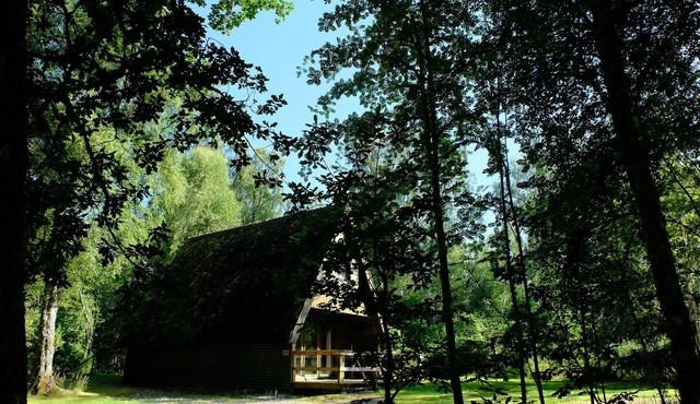 Woodland cottage nestled in woods on the banks of a glorious Highland River