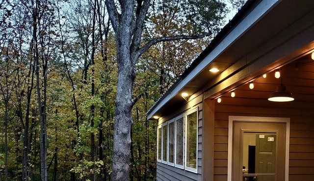 Woodland coziness