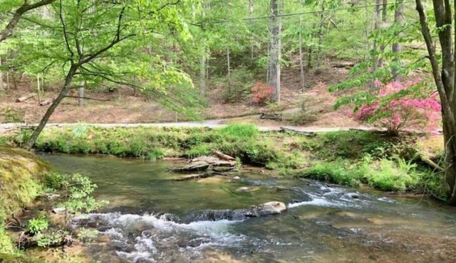 Woodland Creekside Cabin/HotTub/WiFi/Gameroom