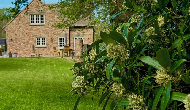 Woodland edge retreat, with wood burning stove.