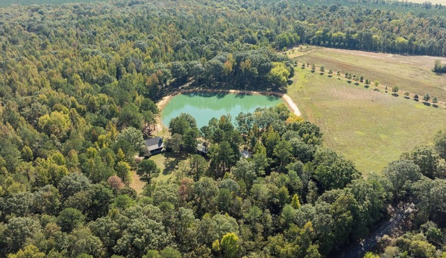 Woodland Gameday Getaway Near Tuscaloosa – Pond Views, Pavilion, Firepits & More